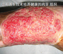 千亿国际(唯一)官方网站登录