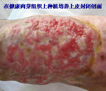 千亿国际(唯一)官方网站登录