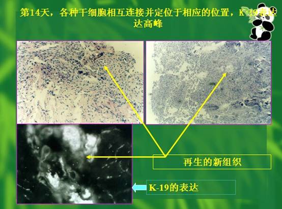 千亿国际(唯一)官方网站登录