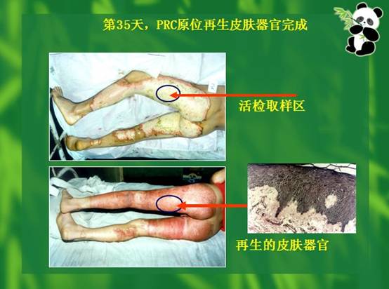 千亿国际(唯一)官方网站登录