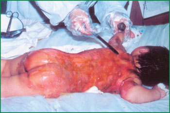 千亿国际(唯一)官方网站登录