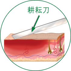 千亿国际(唯一)官方网站登录