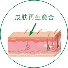 千亿国际(唯一)官方网站登录