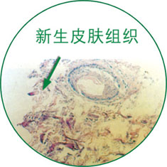 千亿国际(唯一)官方网站登录