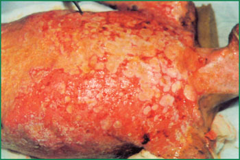 千亿国际(唯一)官方网站登录