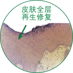 千亿国际(唯一)官方网站登录