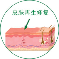 千亿国际(唯一)官方网站登录