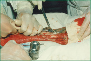 千亿国际(唯一)官方网站登录