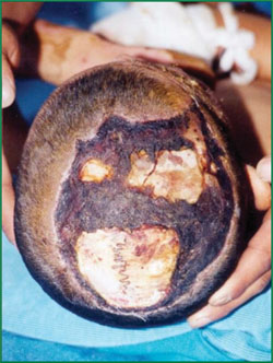 千亿国际(唯一)官方网站登录