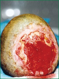 千亿国际(唯一)官方网站登录