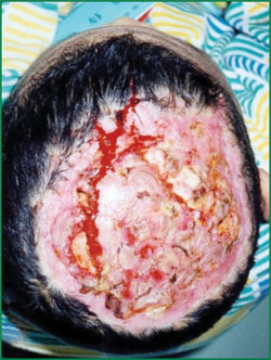 千亿国际(唯一)官方网站登录