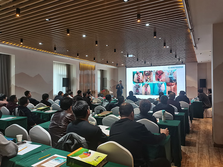 千亿国际(唯一)官方网站登录