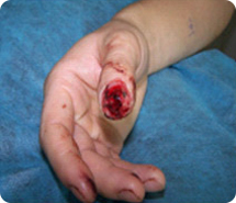 千亿国际(唯一)官方网站登录