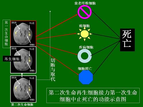 千亿国际(唯一)官方网站登录