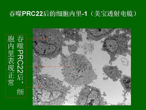 千亿国际(唯一)官方网站登录