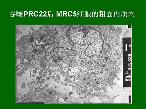 千亿国际(唯一)官方网站登录