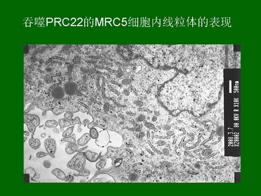 千亿国际(唯一)官方网站登录