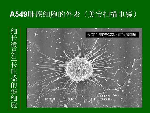 千亿国际(唯一)官方网站登录