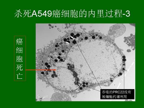 千亿国际(唯一)官方网站登录