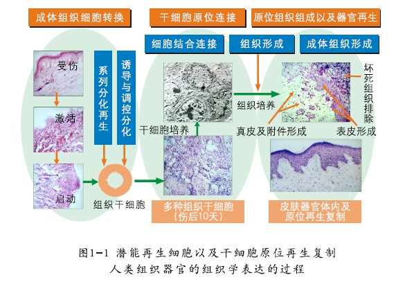 千亿国际(唯一)官方网站登录