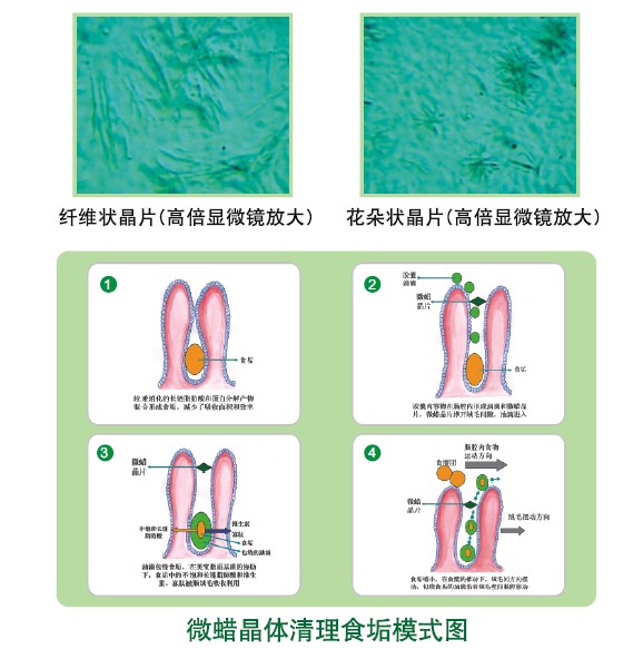千亿国际(唯一)官方网站登录