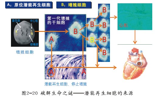 千亿国际(唯一)官方网站登录