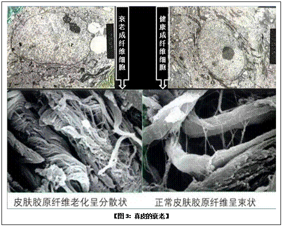 千亿国际(唯一)官方网站登录