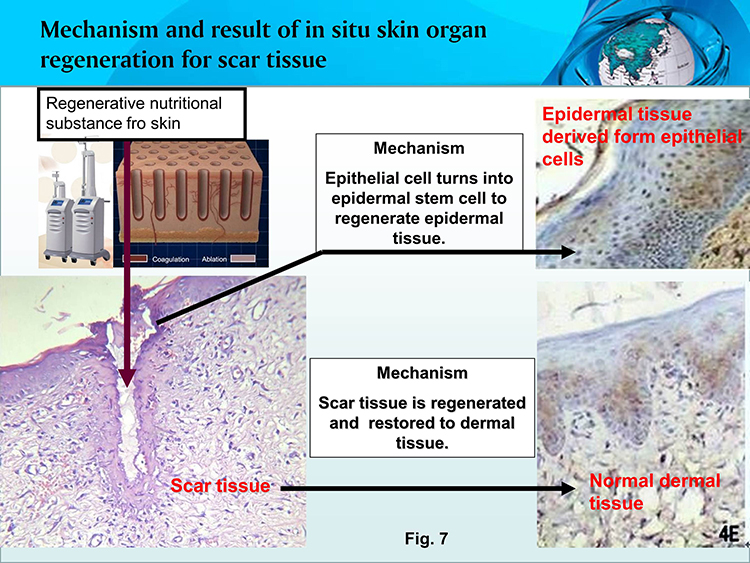 千亿国际(唯一)官方网站登录
