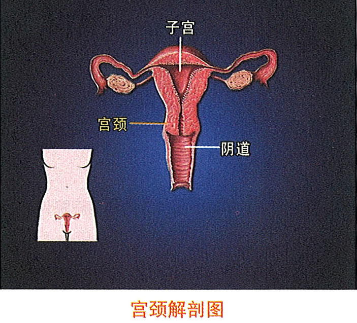 千亿国际(唯一)官方网站登录